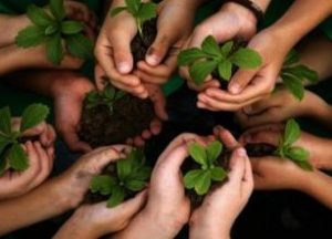 Krisisnya Sumber Daya Alam Untuk Populasi Kehidupan Di Bumi